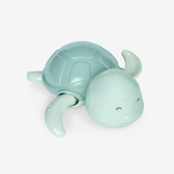 Buddy Mint