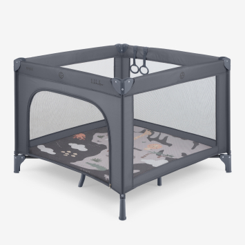 Enjoy 2026 Africa Grey