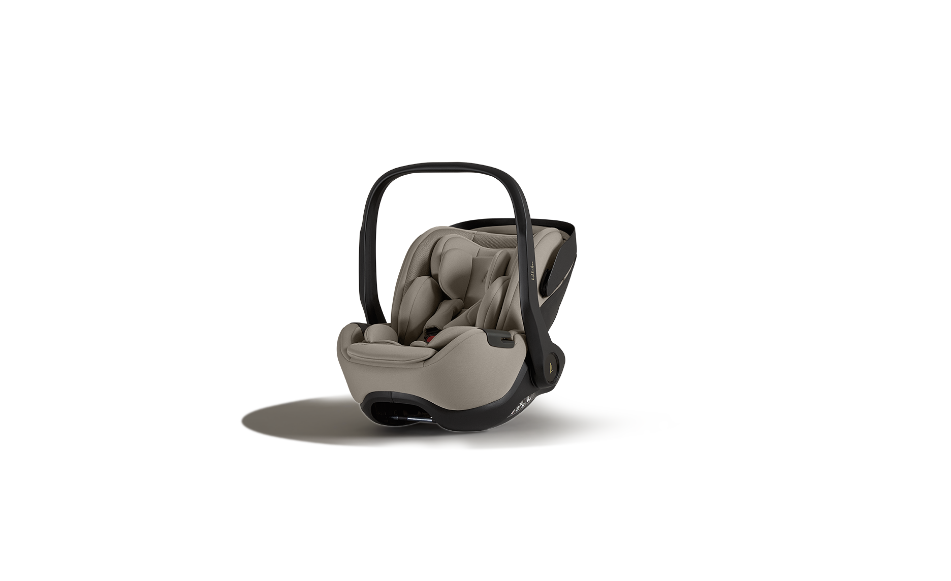 Ergonomic carry handle